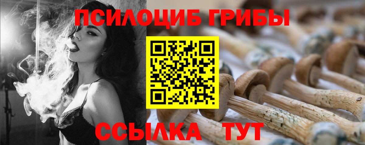 Кольчугино  Галлюциногенные грибы мицелий  Вход с VPN 